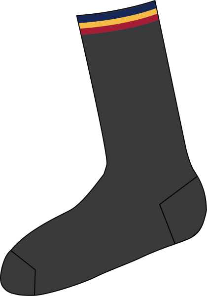 New Scotch College Socks 2Pk Yr 3 - 12