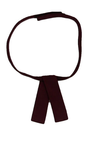 Cheltenham GHS Tab Tie Years11 -12