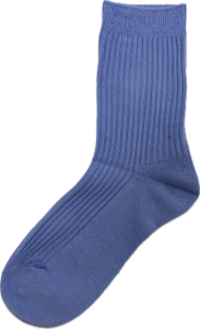 Cheltenham GHS Sock