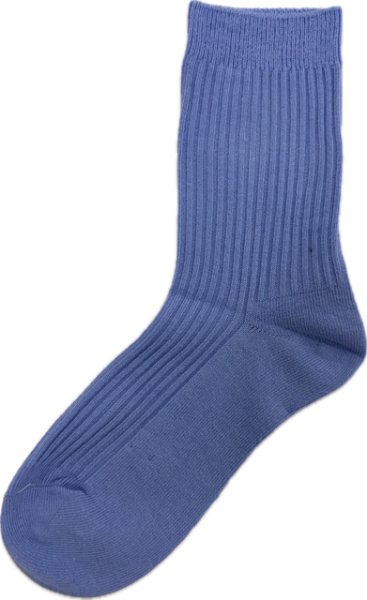 Cheltenham GHS Sock