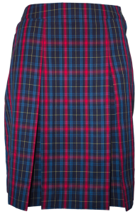 Casey GS Winter Skirt 2023