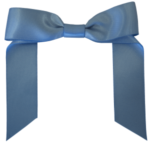 1 Colour Bow Elastic Pony